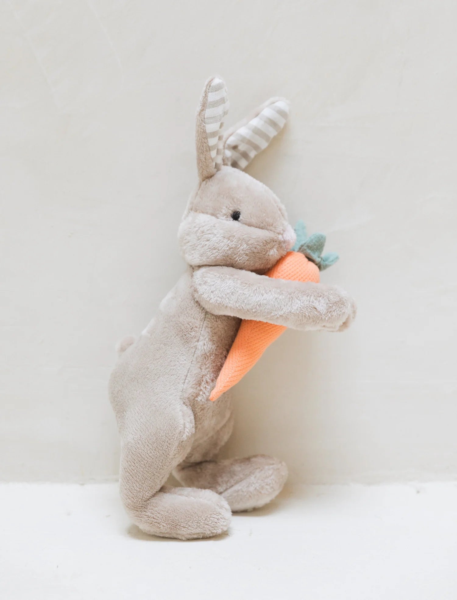 Pascual El Conejo imagen 3
